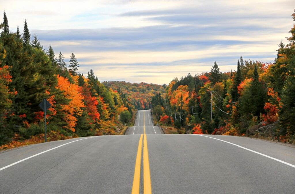 A two-lane road winds through a forest ablaze with autumn colors under a soft, cloudy sky.