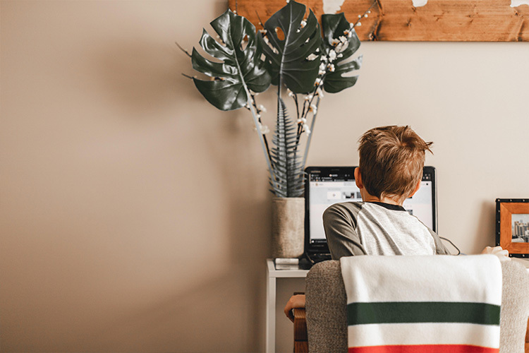 A boy sits at a desk working on a laptop, seen from behind, with a plant and framed photo nearby