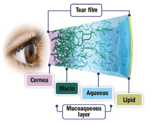 Close-up of an eye with an expanded cross-section showing the tear film's cornea, mucin, aqueous, and lipid layers