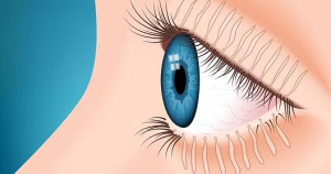 Eye with blue iris in profile showing meibomian gland lines along the eyelid