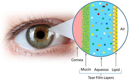 Diagram of the eye's tear film layers, showing the mucin, aqueous, and lipid components that protect the cornea